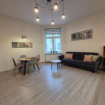 Duzy Komfortowy Apartament W Samym Centrum Przy Manufaktura I Piotrkowska, Blisko Zoo, Fala Lejlighed Łódź Eksteriør billede